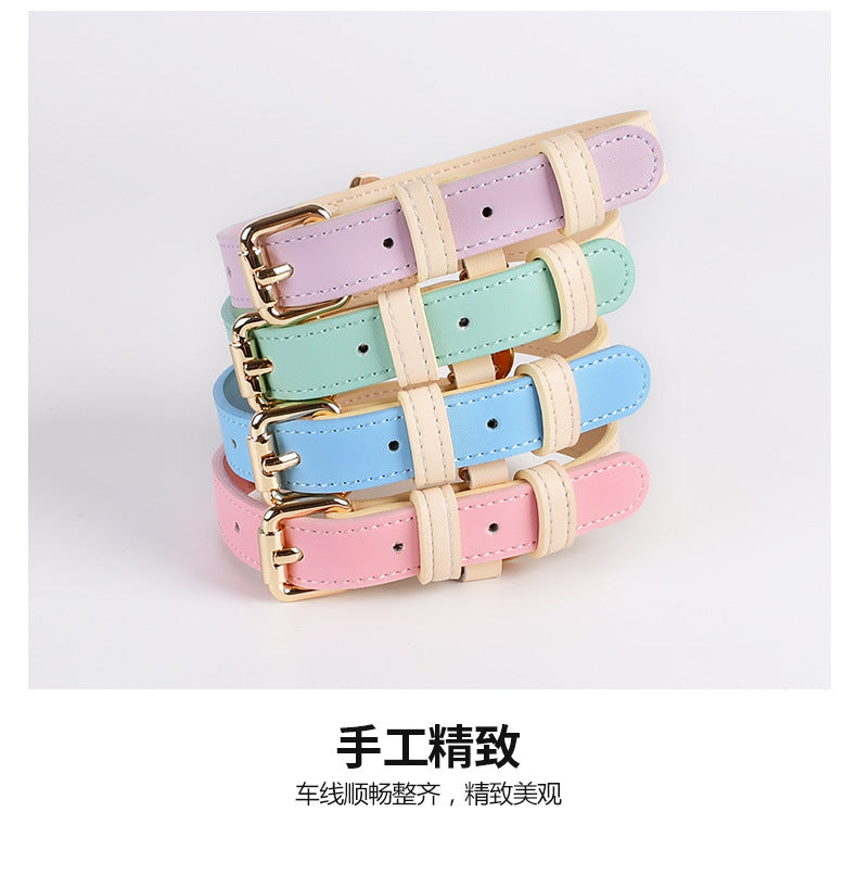 Discover the Best Leather Puppy Collar and Leash – Just Leather Things for Your Furry Friend