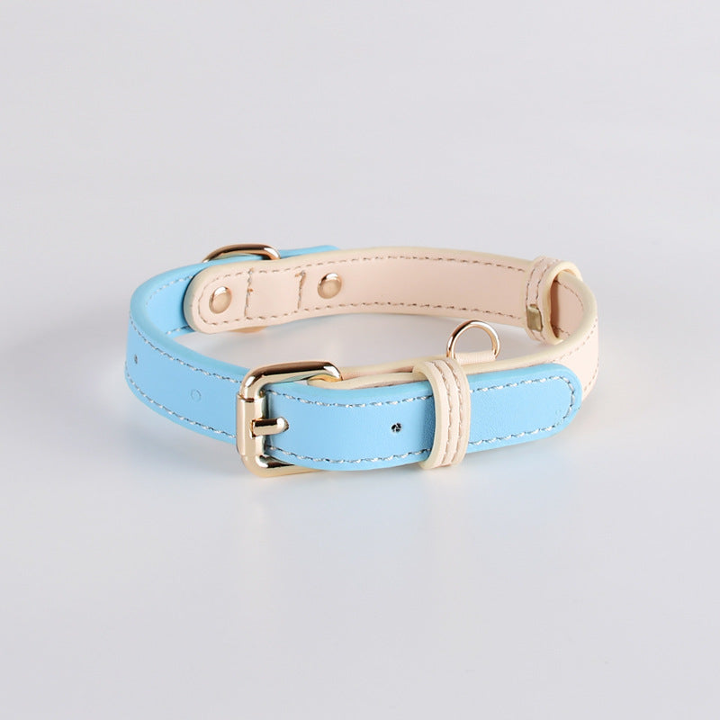 Discover the Best Leather Puppy Collar and Leash – Just Leather Things for Your Furry Friend