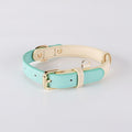 Discover the Best Leather Puppy Collar and Leash – Just Leather Things for Your Furry Friend