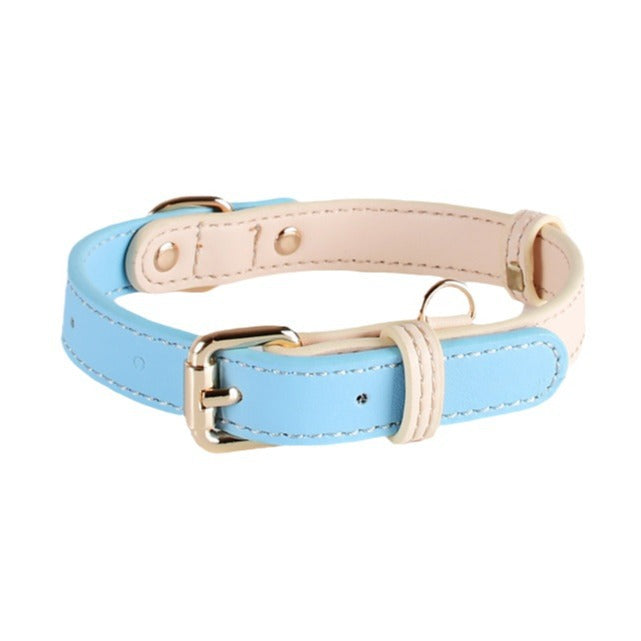 Discover the Best Leather Puppy Collar and Leash – Just Leather Things for Your Furry Friend