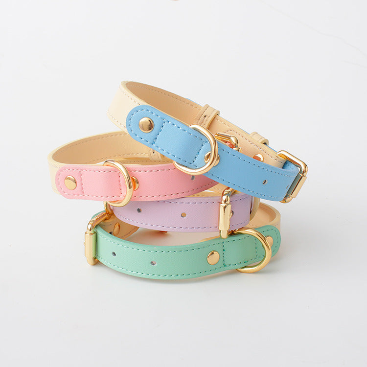 Discover the Best Leather Puppy Collar and Leash – Just Leather Things for Your Furry Friend