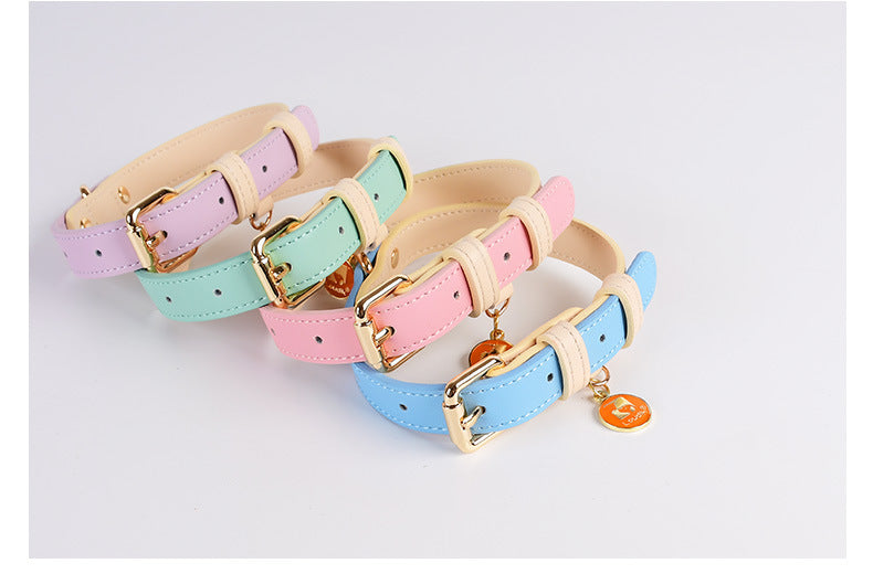 Discover the Best Leather Puppy Collar and Leash – Just Leather Things for Your Furry Friend