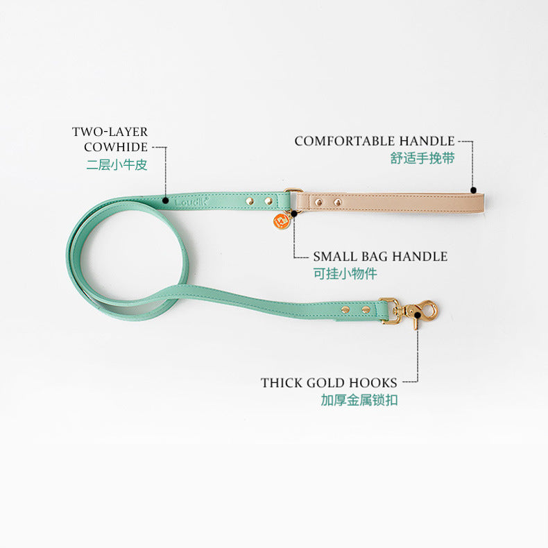 Discover the Best Leather Puppy Collar and Leash – Just Leather Things for Your Furry Friend